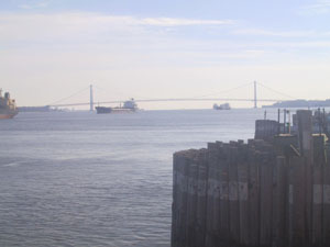 Verrazano-Narrows Bridge